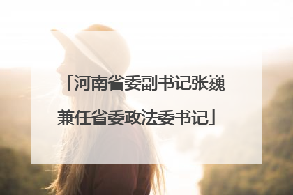 河南省委副书记张巍兼任省委政法委书记