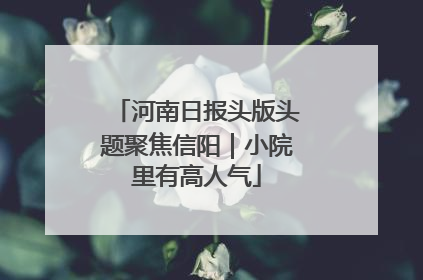 河南日报头版头题聚焦信阳｜小院里有高人气