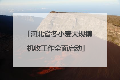 河北省冬小麦大规模机收工作全面启动