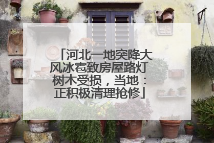河北一地突降大风冰雹致房屋路灯树木受损，当地：正积极清理抢修