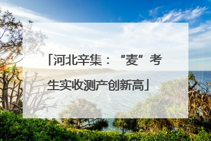 河北辛集：“麦”考生实收测产创新高