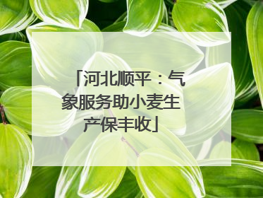 河北顺平：气象服务助小麦生产保丰收