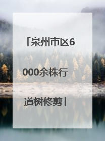 泉州市区6000余株行道树修剪