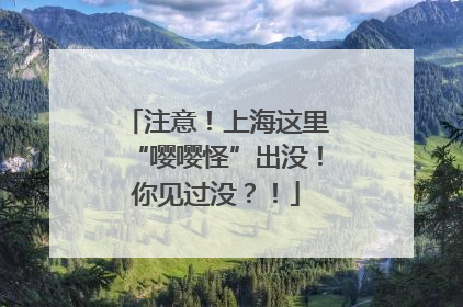 注意！上海这里“嘤嘤怪”出没！你见过没？！
