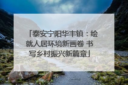 泰安宁阳华丰镇：绘就人居环境新画卷 书写乡村振兴新篇章