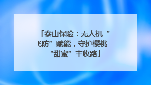 泰山保险：无人机“飞防”赋能，守护樱桃“甜蜜”丰收路