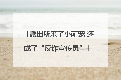 派出所来了小萌宠 还成了“反诈宣传员”