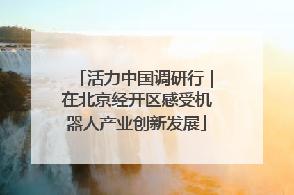 活力中国调研行｜在北京经开区感受机器人产业创新发展