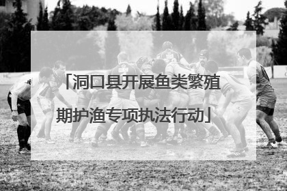 洞口县开展鱼类繁殖期护渔专项执法行动