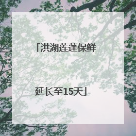 洪湖莲蓬保鲜延长至15天