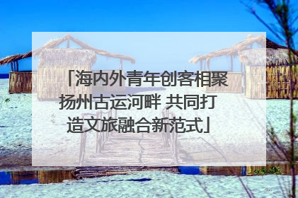 海内外青年创客相聚扬州古运河畔 共同打造文旅融合新范式