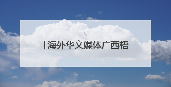 海外华文媒体广西梧州品六堡 探寻千年茶香里的“乡愁味”