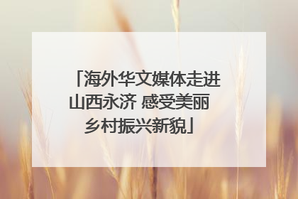 海外华文媒体走进山西永济 感受美丽乡村振兴新貌