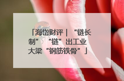 海岱财评｜“链长制” “链”出工业大梁“钢筋铁骨”