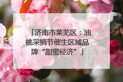 济南市莱芜区：油桃采摘节催生区域品牌“甜蜜经济”
