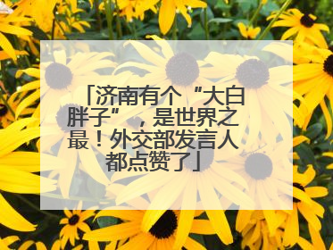济南有个“大白胖子”，是世界之最！外交部发言人都点赞了