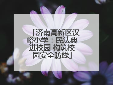 济南高新区汉峪小学：民法典进校园 构筑校园安全防线