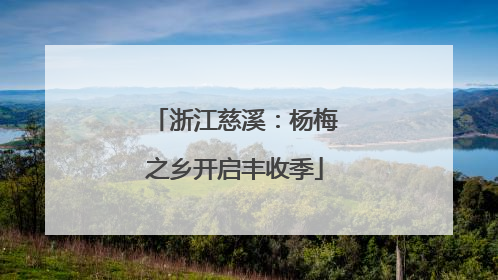 浙江慈溪：杨梅之乡开启丰收季