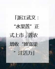 浙江武义：“水果莲”正式上市，莲农增收“致富果”注活力