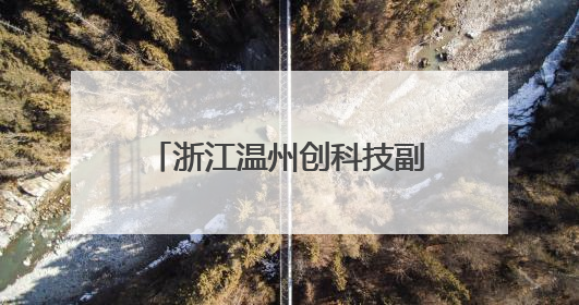 浙江温州创科技副总引才新机制 塑民企发展新优势