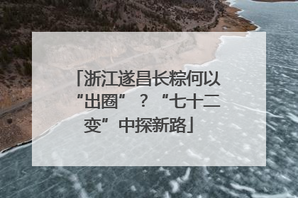 浙江遂昌长粽何以“出圈”？“七十二变”中探新路
