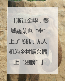 浙江金华：婺城蔬菜也“坐”上了飞机，无人机为乡村振兴插上“翅膀”