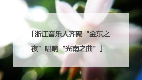 浙江音乐人齐聚“金东之夜”唱响“光南之曲”