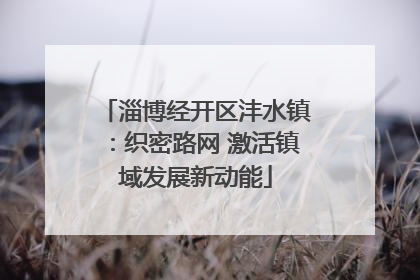 淄博经开区沣水镇：织密路网 激活镇域发展新动能