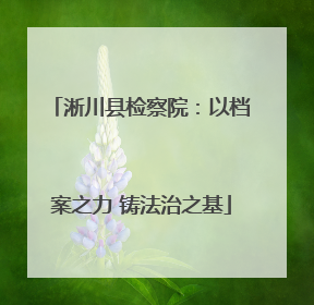 淅川县检察院：以档案之力 铸法治之基