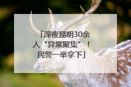 深夜昆明30余人“异常聚集”！民警一举拿下