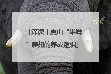 深读｜虞山“雄鹰”展翅的养成逻辑