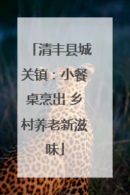 清丰县城关镇：小餐桌烹出 乡村养老新滋味