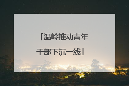 温岭推动青年干部下沉一线