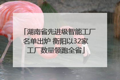 湖南省先进级智能工厂名单出炉 衡阳以32家工厂数量领跑全省