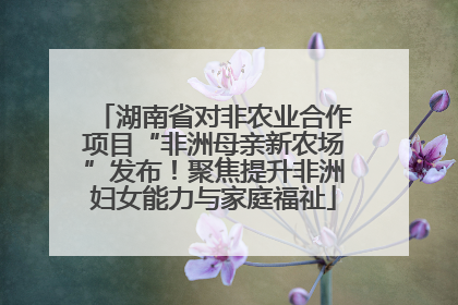 湖南省对非农业合作项目“非洲母亲新农场”发布！聚焦提升非洲妇女能力与家庭福祉