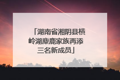 湖南省湘阴县横岭湖麋鹿家族再添三名新成员