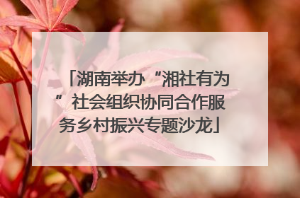 湖南举办“湘社有为”社会组织协同合作服务乡村振兴专题沙龙