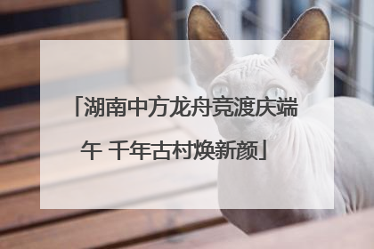 湖南中方龙舟竞渡庆端午 千年古村焕新颜