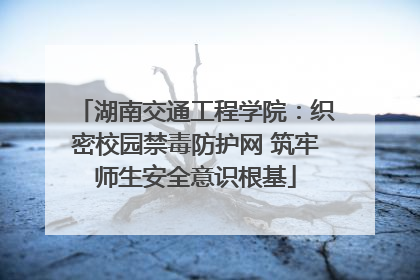 湖南交通工程学院：织密校园禁毒防护网 筑牢师生安全意识根基