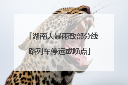 湖南大暴雨致部分线路列车停运或晚点