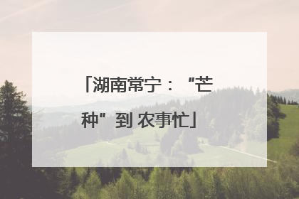 湖南常宁：“芒种”到 农事忙