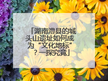 湖南澧县的城头山遗址如何成为“文化地标”？一探究竟