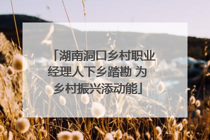湖南洞口乡村职业经理人下乡踏勘 为乡村振兴添动能