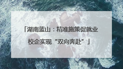 湖南蓝山：精准施策促就业 校企实现“双向奔赴”