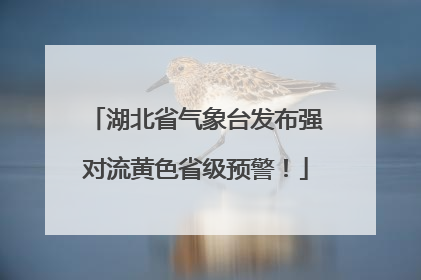 湖北省气象台发布强对流黄色省级预警！