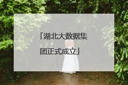 湖北大数据集团正式成立