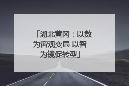 湖北黄冈：以数为窗观变局 以智为镜促转型