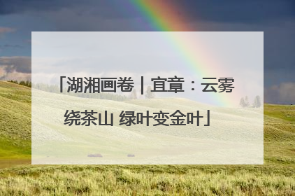 湖湘画卷｜宜章：云雾绕茶山 绿叶变金叶