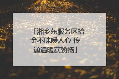 湘乡东服务区拾金不昧暖人心 传递温暖获赞扬