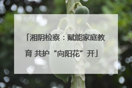 湘阴检察：赋能家庭教育 共护“向阳花”开